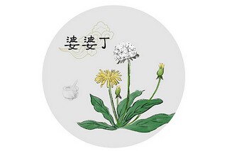 秋天来了日记（秋天来了日记二年级100字左右）