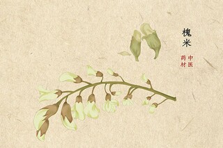 小学生元旦诗歌_小学生元旦诗歌朗诵 关于元旦的诗