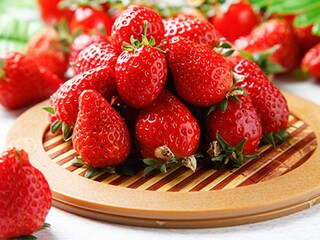 治愈的优美句子（治愈的句子短句）