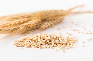 诗词大会作文（诗词大会作文素材积累）