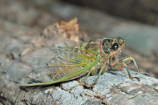 母亲节温馨祝福语摘录_母亲节温馨短语