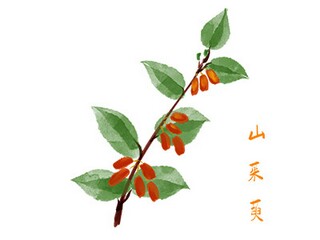 新学期学习计划_技校学生新学期计划500字