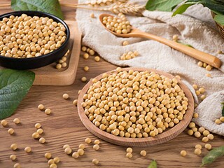 寒食还陆浑别业原文赏析及翻译（寒食还陆浑别业拼音）