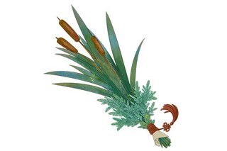 描写努力的现代诗句_描写努力的现代诗句有哪些