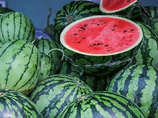 人生何处不相逢励志文章（人生何处不相逢的唯美句子）