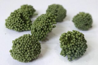 怀旧的短句子_怀旧的唯美句子53句