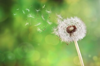 描写雪景的优美句段_描写雪景的唯美语段