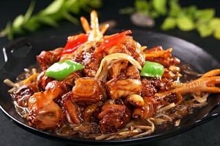 美丽的吊兰作文（关于吊兰的作文300字三年级作文怎么写）