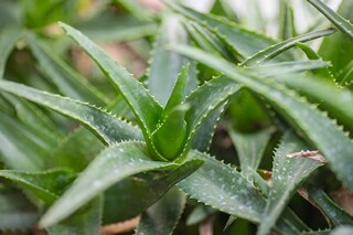 520朋友圈营销文案（520的营销朋友圈）