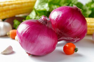 学术论文的写法总结（学术论文的写法总结范文）