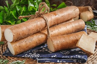 每日安全生产月活动方案（安全生产日活动内容）