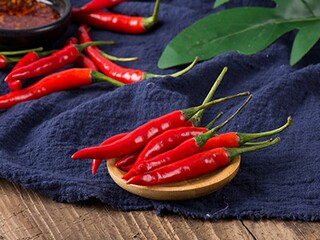 师德标兵感言（师德标兵获奖感言）