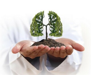 家乡的春节9年级作文怎么写_家乡的春节9年级作文怎么写好