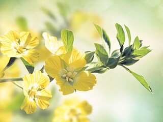 七夕朋友圈宣传文案_七夕朋友圈文案最好的句子