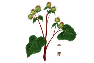 成人礼家长对孩子寄语_成人礼家长对孩子的期望和要求