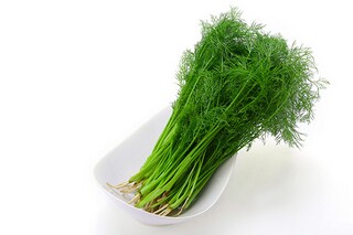 烟雨淹城阅读答案（烟雨城小说）