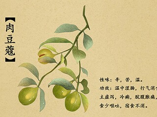 放弃一个人的句子_不舍得放弃一个人的句子