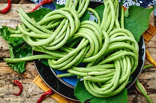 奶奶作文_裁缝奶奶作文