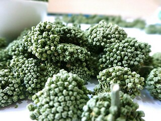 惟妙惟肖近义词