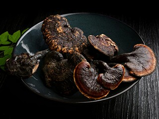 蜜蜂的谜语_关于蜜蜂的谜语