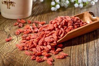 夏天柳树的诗句（关于夏天柳树的诗）