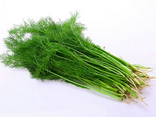 冬至适合发朋友圈的文案_冬至适合发朋友圈的话