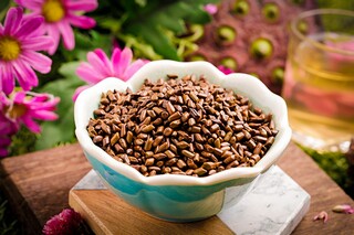 写花优美句子（优美写花的句子）