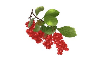 线上上课思想汇报（线上上课思想汇报800字）