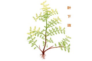 科技节口号（科技节口号2024）