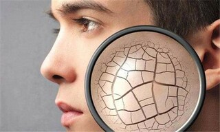 写田园风光的诗句_写田园风光的诗句 1~5年级