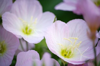 奋斗励志的短小句子