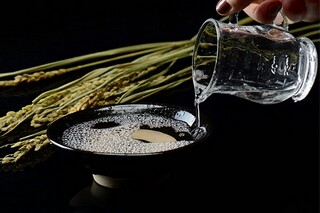 形容冬天冰雪的句子_形容冬天冰雪的句子有哪些