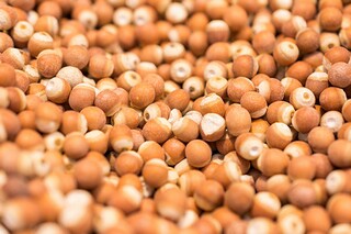 黄山奇石的教学设计（黄山奇石的教学设计及反思）