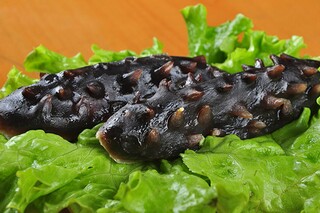 励志感悟句子75条_励志感悟短句一句话