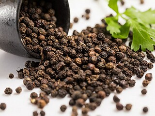 故乡的海作文_我的故乡在海边作文