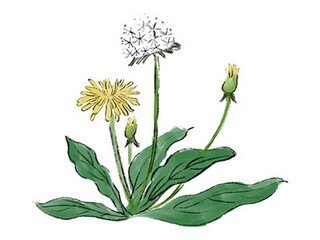 12月适合发朋友圈文案说说（12月份发朋友圈的文案）