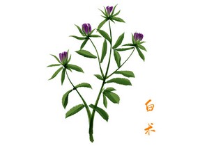 放下，让过去的过去心情随笔（放下,让过去的过去心情随笔怎么写）