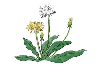 迎接教师节的名言名句_迎接教师节的内容