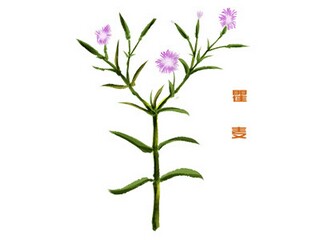 评选方案_2025年优秀教师评选方案