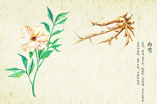 辞职报告版本（辞职报告样板书）