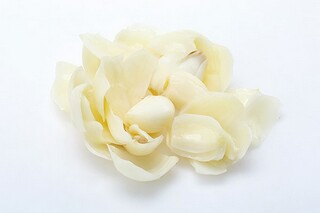 锦旗感谢用语大全250例（锦旗感谢文案）