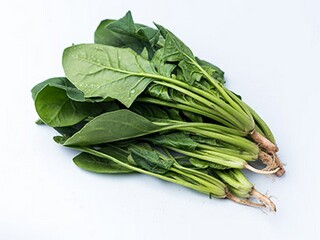 交通安全作文_交通安全的作文600字初三作文