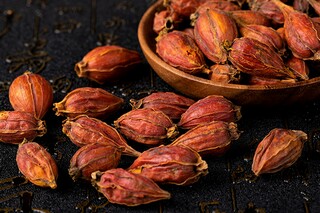 花开花落作文（花开花落作文800字）