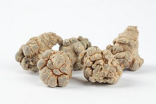 关爱留守儿童的诗句分享（关爱留守儿童的短句）