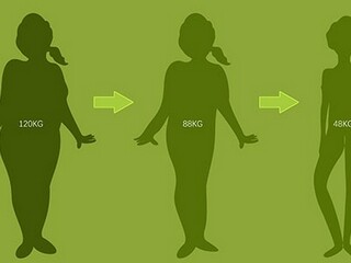 一叶知秋散文_一叶知秋散文集百度百科