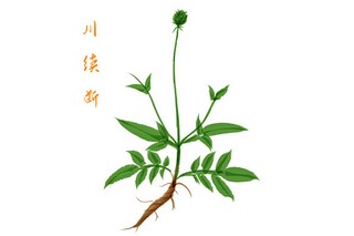 学雷锋月黑板报（学雷锋月黑板报内容）