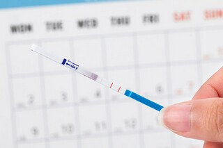 《荷包蛋》阅读答案