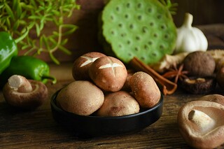 庆祝植树节文案