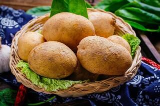 榜样的力量优秀征文（榜样的力量的征文）