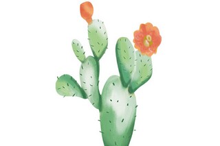 集训心得体会（辅警年度集训心得体会）